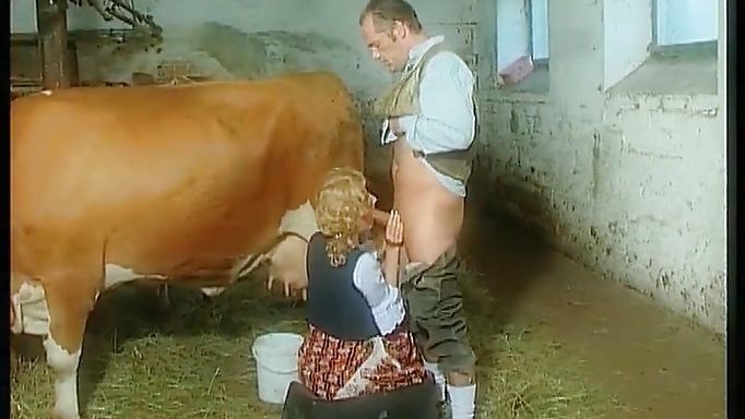 Milking The Cow And Then The Farmer!