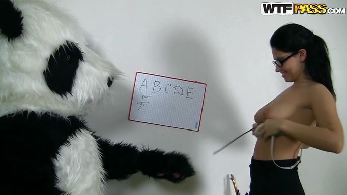 Panda Bear Likes His Teacher