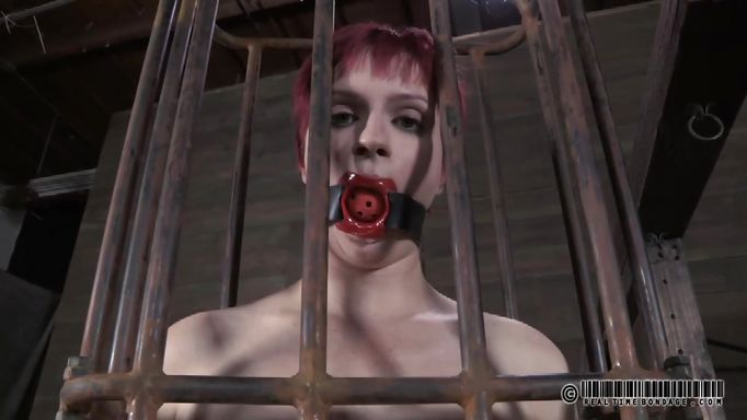 Mouth Gagged In A Small Cage